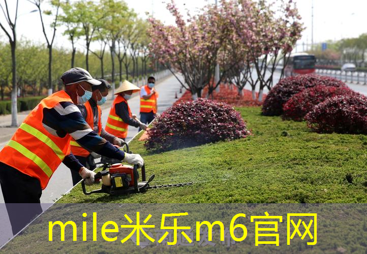 mile米乐m6官网：比赛专用乒乓球台尺寸