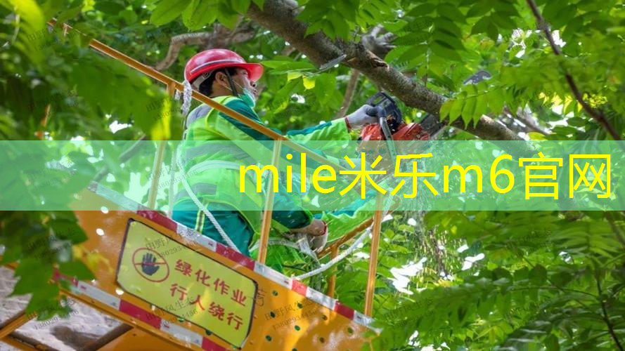 米乐m6官网：室内健身房和衣帽间