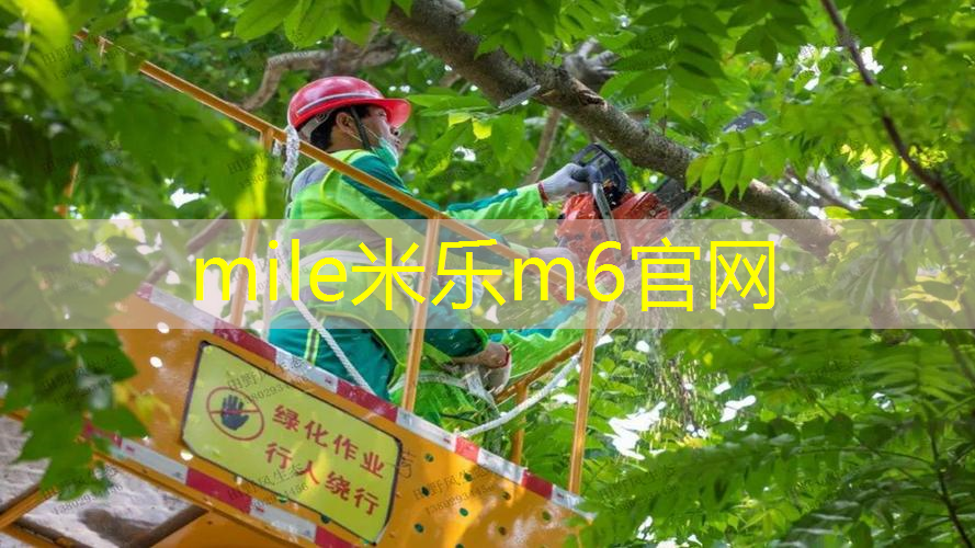 米乐：乒乓球台子上打排球怎么打