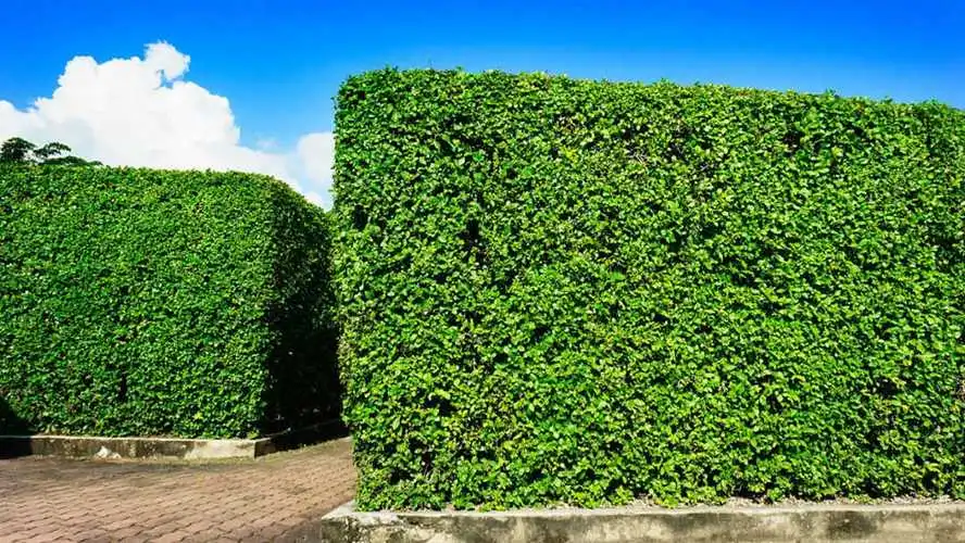 乒乓球台桌面级别