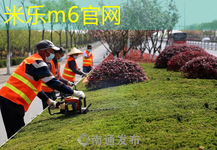 比赛专用乒乓球台尺寸