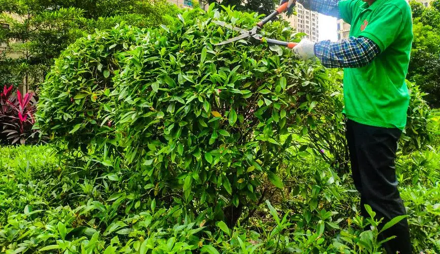 提升全身力量！选对单杠是关键！标准单杠VS普通单杠！