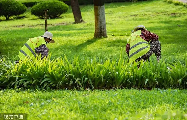 室内运动室外健身