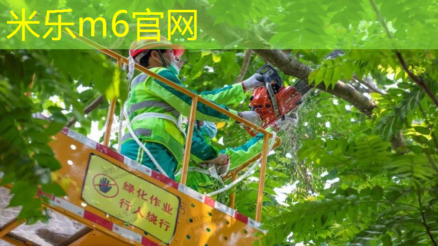 塑胶跑道材料在学校运动场地建设中的作用！