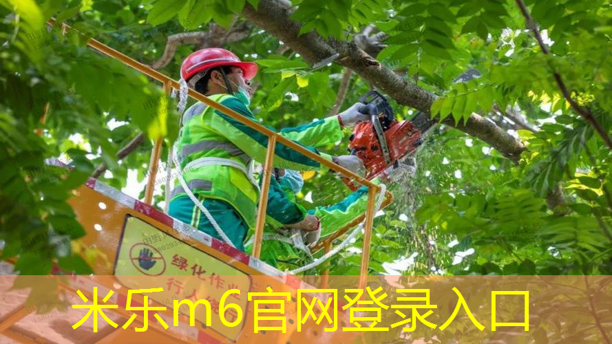 乒乓球台子上打排球怎么打