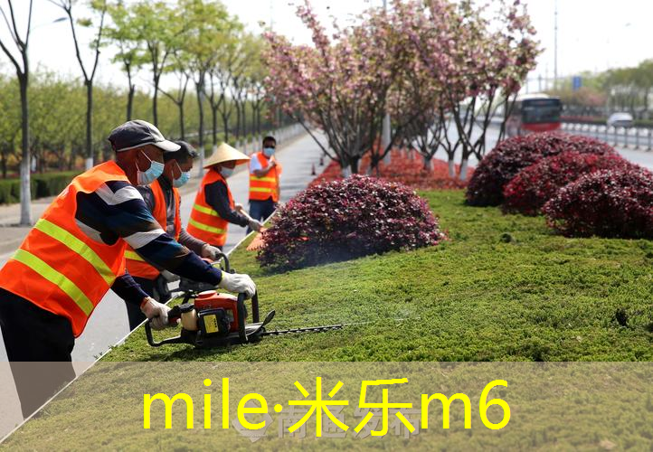 在家中放乒乓球台